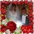 Diane E Kitchen-Flem's profile image