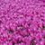 Julie Fagan Burgess's profile image