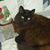 Danya Hawley's profile image