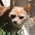 Donia Richard Dorch Schmiege's profile image