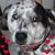 Diane Fetterman Rice's profile image