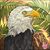 Pat Hensley's profile image