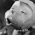Domorn Sangboon's profile image
