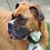 Gary Jehle's profile image