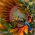 Crystal Florey's profile image