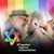 Andrew Warnecke's profile image
