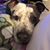 Jacinda Dupois's profile image