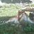 Betty Rowe Logsdon's profile image