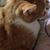 Sharon Frahm's profile image