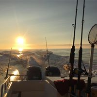 Lynne Daubenspeck's profile image