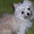 Karen Stine's profile image