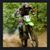 Adam Dhamer's profile image