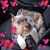Barbara McCallister's profile image