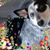 Kimberly Miller's profile image