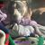 Janine Curtis's profile image