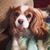 Traycee Cosenza's profile image