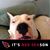 Kathy Grant's profile image