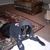 Bob Hind's profile image