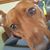 Amanda Brogaard's profile image