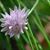 Tina Garmon Griffin's profile image