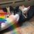Gretchen Ochsenschlager's profile image