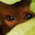 Levi Austin II's profile image