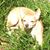 Betty S. Graham's profile image