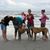 Shirley Zapf's profile image