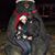 Nicole Puttlitz Armstrong's profile image