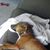 Carie Roovers's profile image