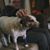 Jeff Williams's profile image