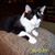 Marsha Throckmorton's profile image