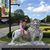 Patty Kieler's profile image