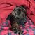 Cyndy Ann's profile image