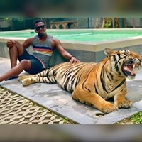 Tyler Williamson's profile image