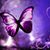 Sandra Kessler's profile image