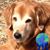 Linda Wurm's profile image