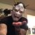 Steve Falco's profile image