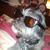 Stephanie Wilson Brandon's profile image