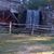 Landscape Tree Removal's profile image
