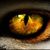 Billy Calloway's profile image