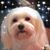 Lori Fox's profile image