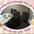 Marquisha Bryant's profile image