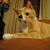Michael Mitten's profile image