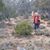Diane Romine's profile image