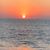 Susana Arias's profile image