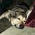 Marijayne Wallace Stegman's profile image