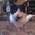Nancy Murphy's profile image
