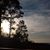 Dawn Korman Jenkins's profile image