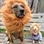 Kathie Hannahs's profile image